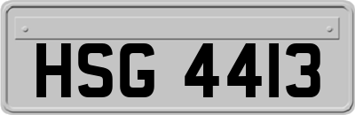 HSG4413