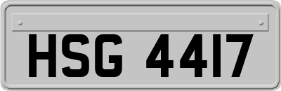 HSG4417