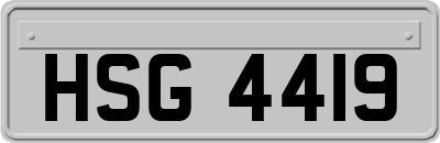HSG4419