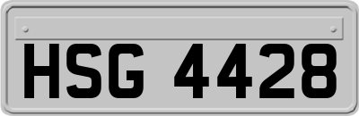 HSG4428