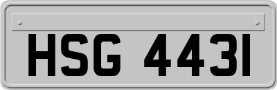 HSG4431