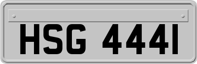 HSG4441