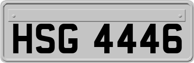 HSG4446