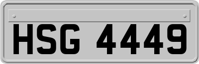 HSG4449