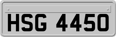 HSG4450