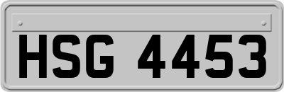 HSG4453