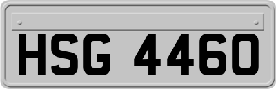 HSG4460
