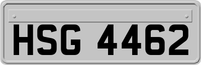HSG4462