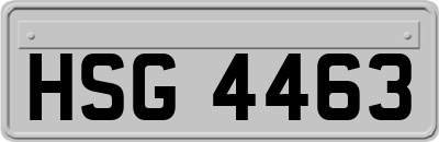 HSG4463