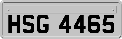 HSG4465