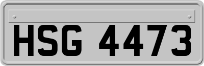 HSG4473