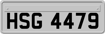 HSG4479