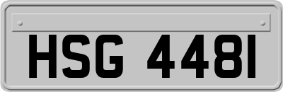 HSG4481