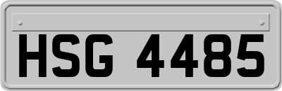 HSG4485