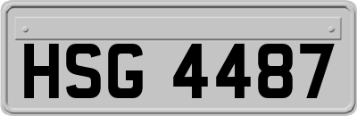 HSG4487