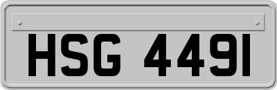 HSG4491