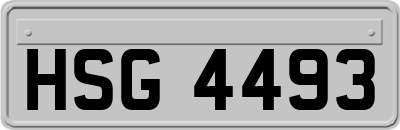 HSG4493