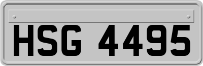 HSG4495