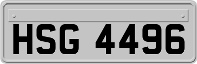HSG4496