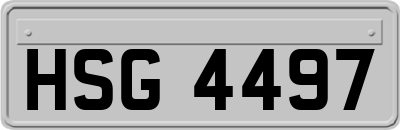 HSG4497
