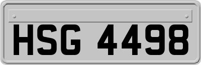 HSG4498