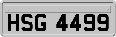HSG4499