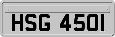 HSG4501