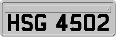 HSG4502