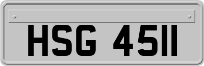 HSG4511