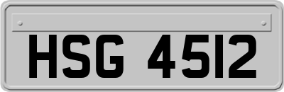 HSG4512