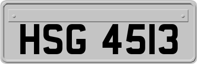 HSG4513
