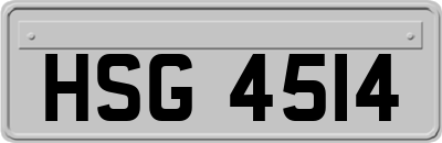 HSG4514