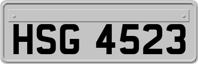 HSG4523