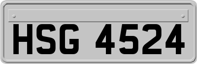 HSG4524