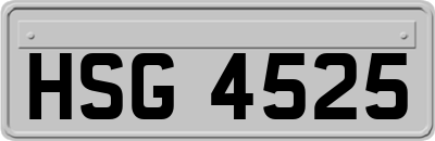 HSG4525