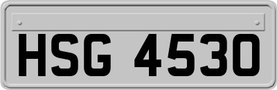 HSG4530