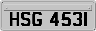HSG4531