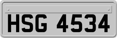 HSG4534