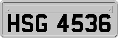 HSG4536