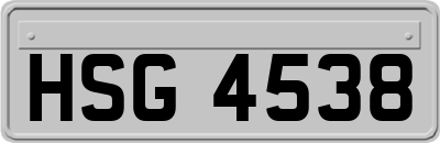 HSG4538