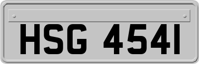 HSG4541