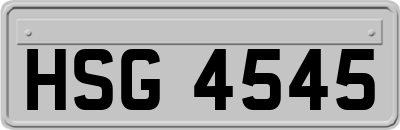 HSG4545