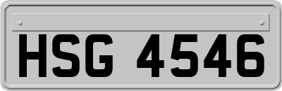 HSG4546