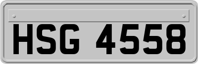 HSG4558