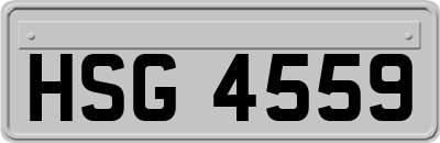 HSG4559