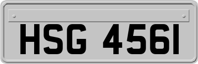 HSG4561