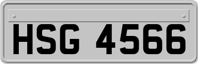 HSG4566