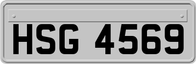 HSG4569