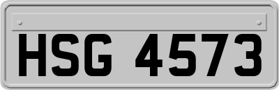 HSG4573