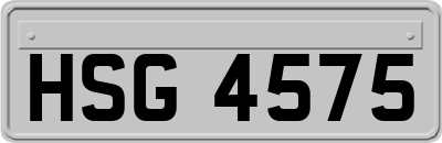 HSG4575